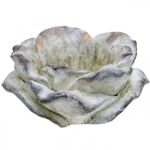 Floristik24 Beton-Rose, Gartendeko, Pflanzrose, Trauerfloristik Grau, Apricot, Violett Ø12cm L26,5cm H11cm