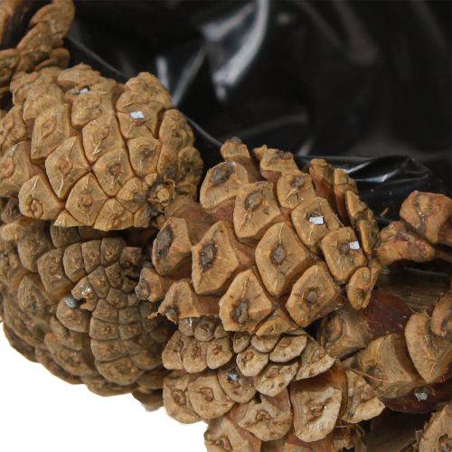 Floristik24 Pflanzschale Echte Zapfen Zapfenschale Natur Ø28cm H9cm