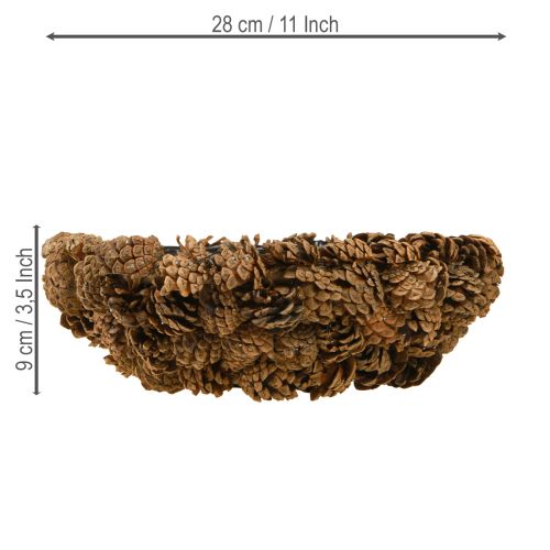 Floristik24 Pflanzschale Echte Zapfen Zapfenschale Natur Ø28cm H9cm
