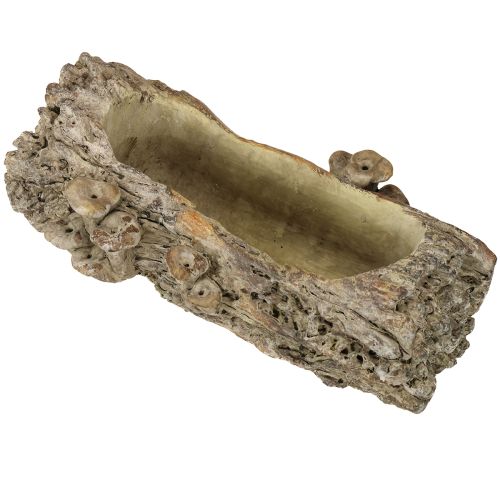 Pflanzschale Steinguss Baumstamm mit Pilzen 36×18×12,5cm