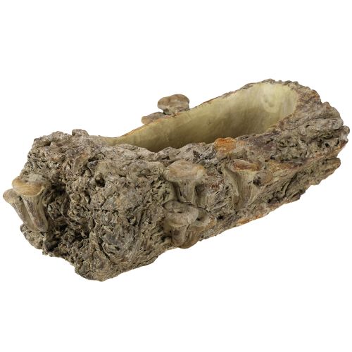 Artikel Pflanzschale Steinguss Baumstamm mit Pilzen 36×18×12,5cm