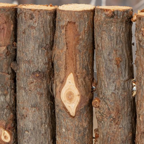 Artikel Pflanzschale eckig Natur Birke Äste 14,5/20cm 2er-Set