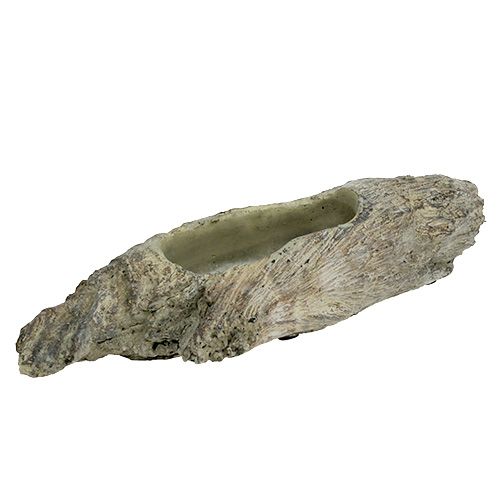 Floristik24 Pflanzschale für Sukkulenten 24,5cm x 8,5cm H5,5cm