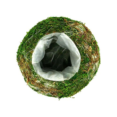 Floristik24 Pflanzschale Moosschale Ø18cm 2St