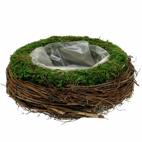 Floristik24 Pflanzschale Rattan, Moos Ø26cm H9cm