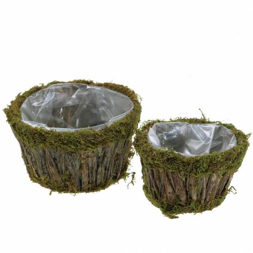 Floristik24 Pflanzschale Moos/Rinde Rund Ø15/20cm 2er-Set