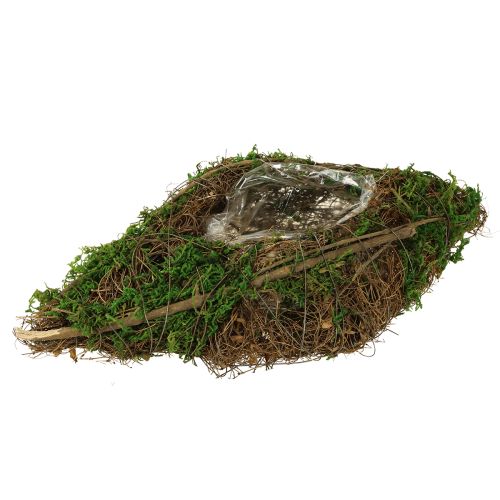 Pflanzschiffchen Reben und Moos Pflanzschale 31×17×6cm
