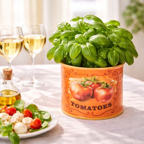 Artikel Tomaten Pflanztopf Set Keramik Dekorative Blumentöpfe für Küche und Retro Deko 14cm 3er-Set
