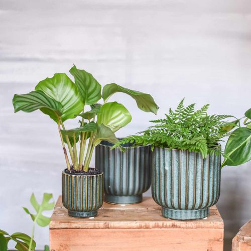 Floristik24 Pflanztopf, Keramikgefäß, Übertopf gewellt Grün, Braun Ø11,5cm H12,5cm