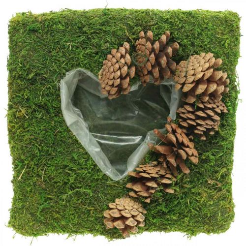 Pflanzkissen Herz Moos und Zapfen Quadratisch 25×25cm