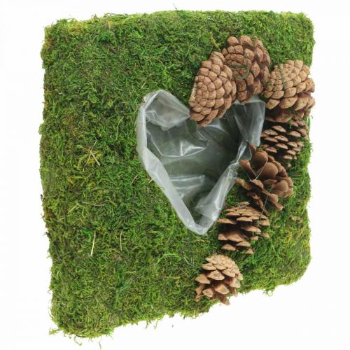 Floristik24 Pflanzkissen Herz Moos und Zapfen Quadratisch 25×25cm