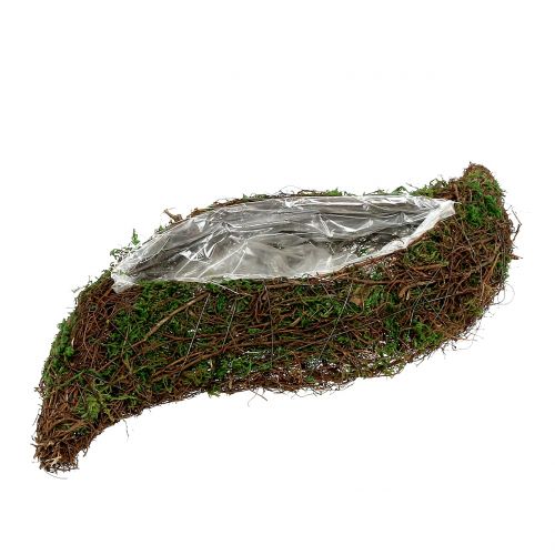 Floristik24 Pflanzwelle Moos mit Rebe 56cm x 20cm