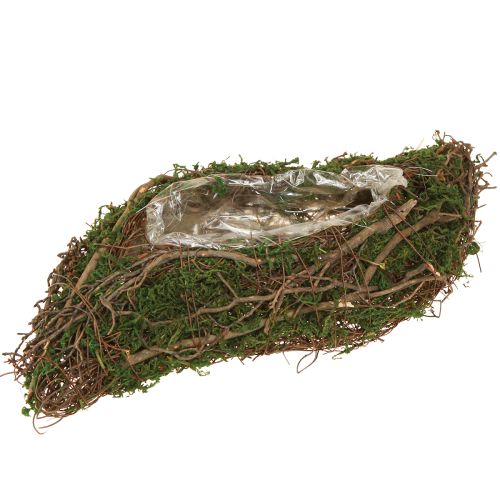 Pflanzwelle Reben Kleine Pflanzschale mit Moos 31×15×7cm