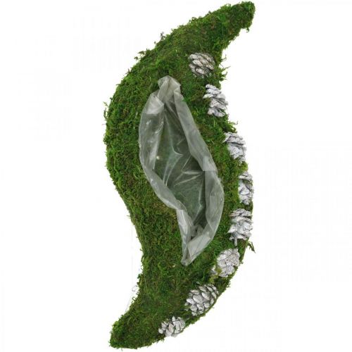 Floristik24 Pflanzgefäß Moos und Zapfen Welle Grün, Weiß gewaschen 41×15cm