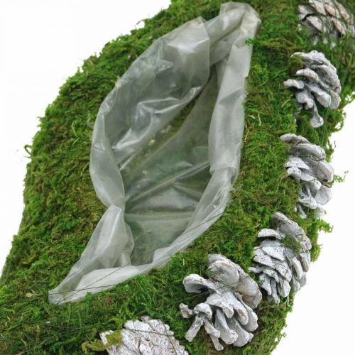 Floristik24 Pflanzgefäß Moos und Zapfen Welle Grün, Weiß gewaschen 41×15cm