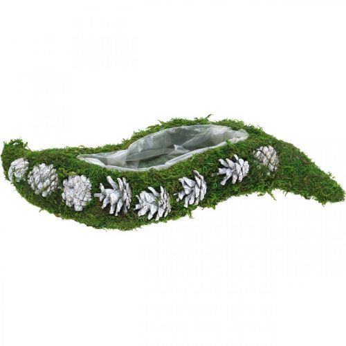 Floristik24 Pflanzgefäß Moos und Zapfen Welle Grün, Weiß gewaschen 41×15cm