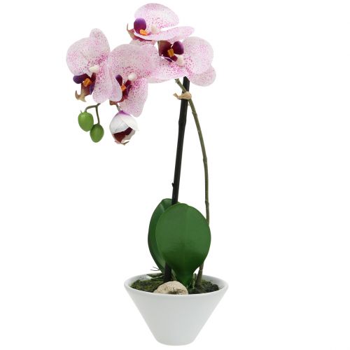 Floristik24 Künstliche Phalaenopsis Lila-Weiß in Schale H38cm