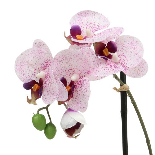 Artikel Künstliche Phalaenopsis Lila-Weiß in Schale H38cm