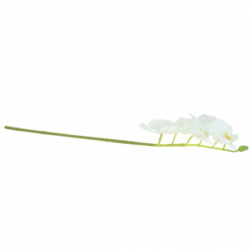 Floristik24 Künstlicher Orchideenzweig Phaelaenopsis Weiß H49cm