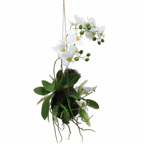 Orchidee mit Farn und Moosballen künstlich Weiß Hängend 64cm