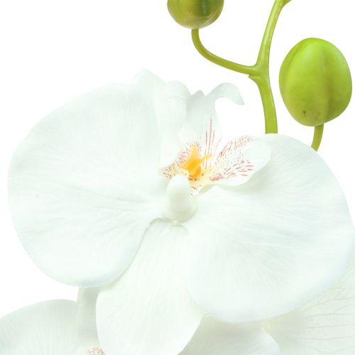 Floristik24 Orchidee Phalaenopsis künstlich Weiß 80cm