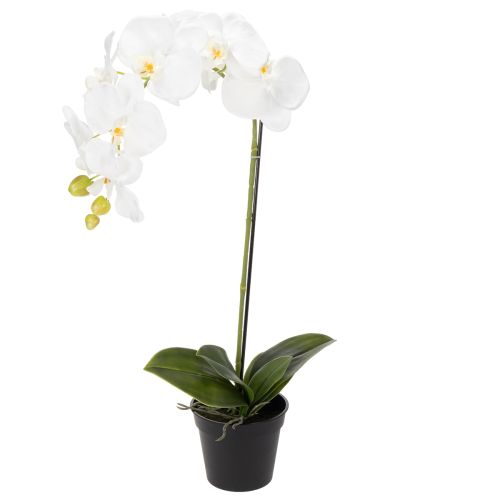 Floristik24 Kunstpflanze Orchidee täuschend echt für Büro und Wohnzimmer Dekoration 62cm