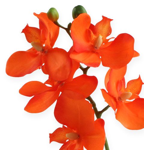 Artikel Künstliche Orchidee mit Blättern Orange 35cm