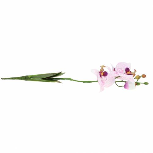 Artikel Künstliche Orchidee Phaleanopsis Weiß, Lila 43cm