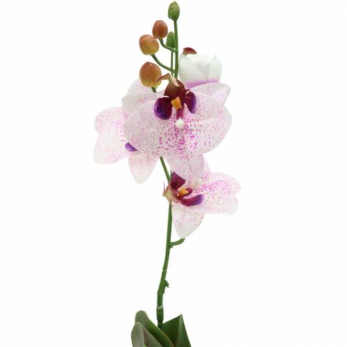 Artikel Künstliche Orchidee Phaleanopsis Weiß, Lila 43cm