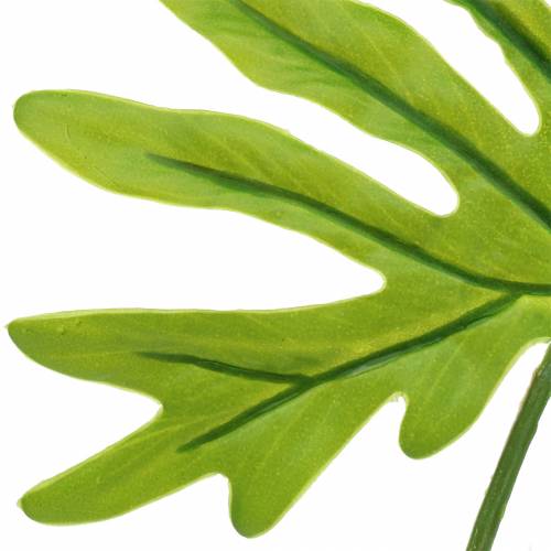 Artikel Philodendronblatt Grün 40cm