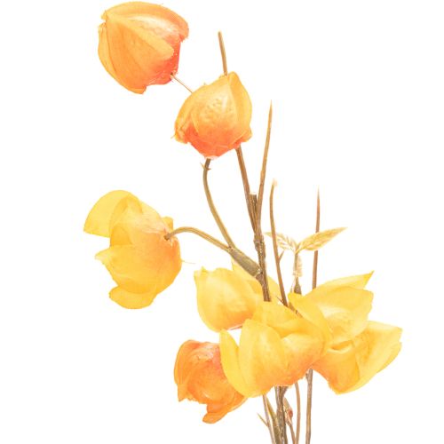 Lampionblume künstlich Physalis-Zweig mit Blüten 95 cm Orange für den Innenbereich | Floristik24.at