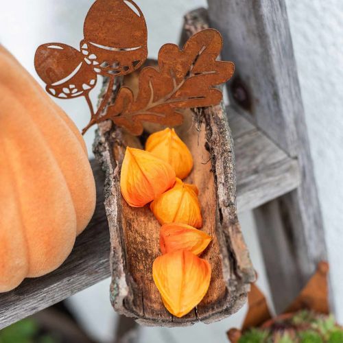 Floristik24 Physalis Orange Sortiert 22 St Deko-Blütenkelche künstlich