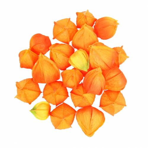 Physalis Orange Sortiert 22St Deko-Blütenkelche künstlich