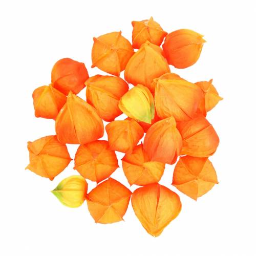 Floristik24 Physalis Orange Sortiert 22St Deko-Blütenkelche künstlich