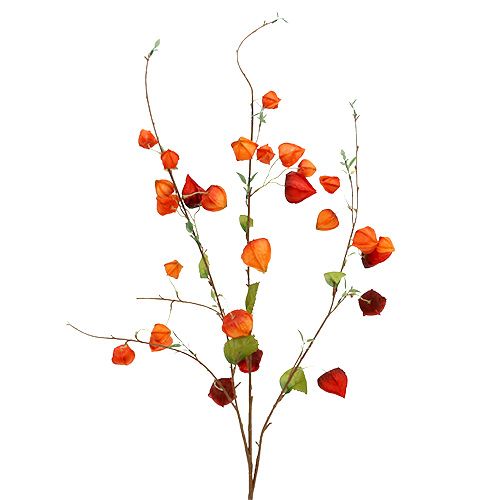 Floristik24 Physaliszweig 90cm Orange 3St