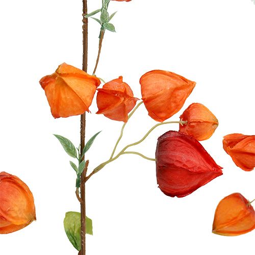 Floristik24 Physaliszweig 90cm Orange 3St