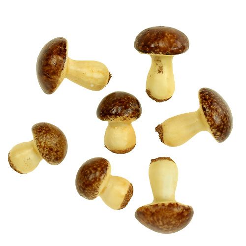 Floristik24 Pilz-Mix Braun 24St