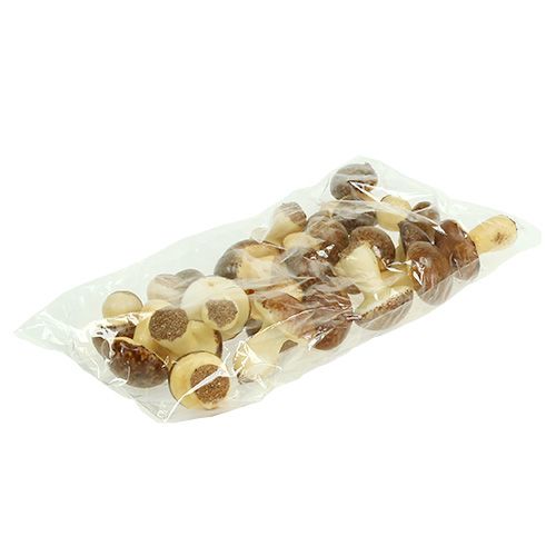 Floristik24 Pilz-Mix Braun 24St