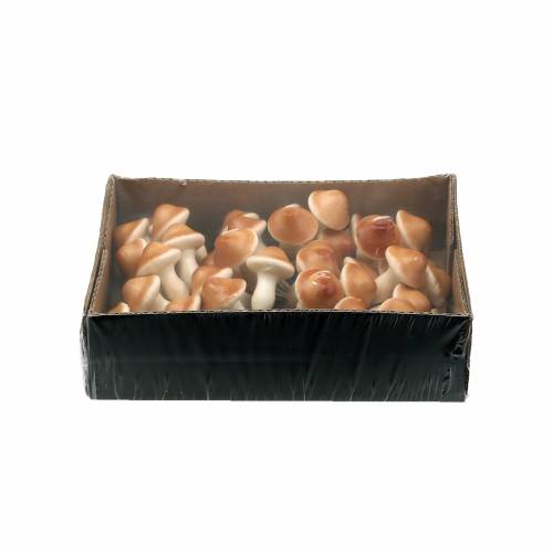 Floristik24 Pilze am Draht Natur 2cm 48 St