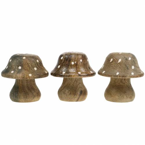 Floristik24 Deko Pilz Holz Natur 5cm 6St