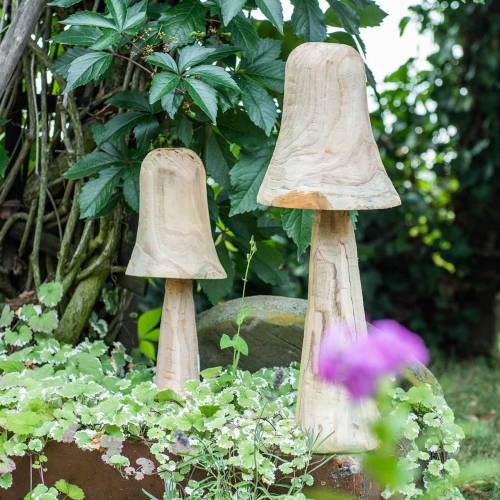 Floristik24 Pilz Kiefernholz Ø18cm H35cm