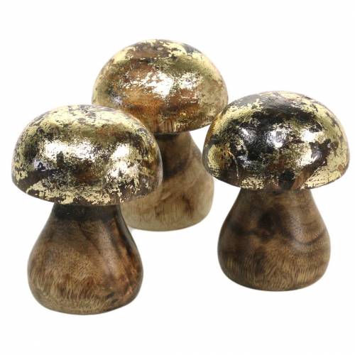 Floristik24 Holzpilz Golden, Natur Mangoholz Ø5cm H6,5cm 4St