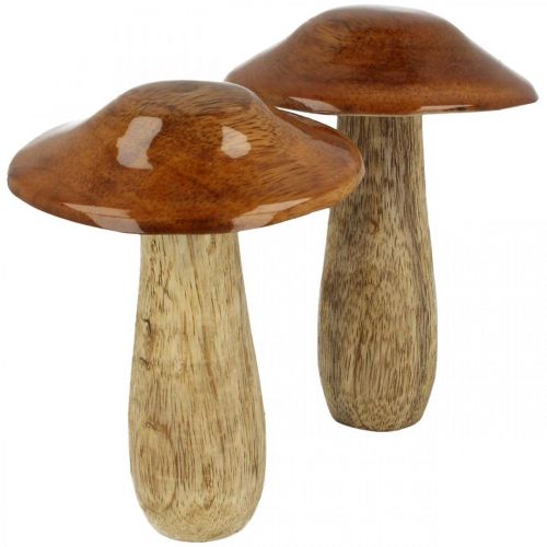 Floristik24 Pilz Mangoholz Braun, Natur Tischdeko Herbst Ø9cm H12cm 2St