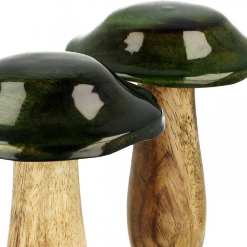 Floristik24 Pilz Grün Mangoholz Herbstdeko aus Holz Ø9cmH11cm 2St