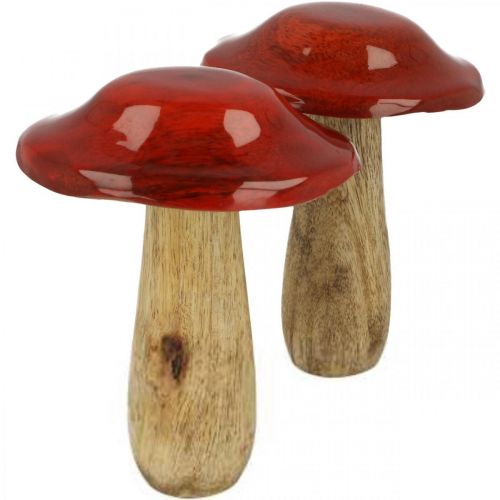 Floristik24 Pilz Mangoholz Rot, Natur Dekoration Herbst Ø9cm H12cm 2St