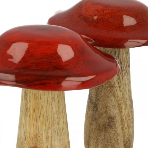 Floristik24 Pilz Mangoholz Rot, Natur Dekoration Herbst Ø9cm H12cm 2St