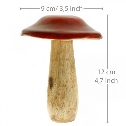 Floristik24 Pilz Mangoholz Rot, Natur Dekoration Herbst Ø9cm H12cm 2St