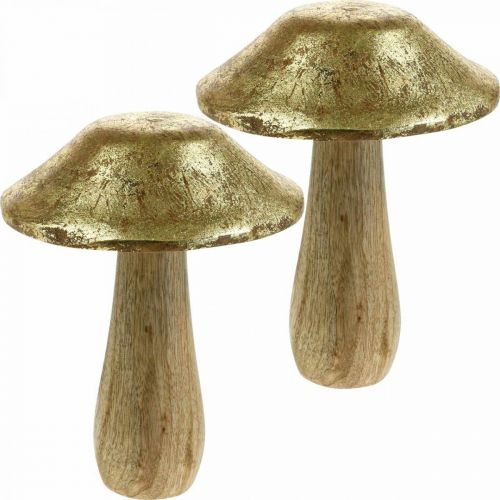 Floristik24 Pilz Mangoholz Gold, Natur Deko Pilze groß Ø12cm H15cm 2St