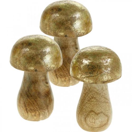 Floristik24 Pilz Mangoholz Gold, Natur Dekopilz Ø6cm H10cm 4St