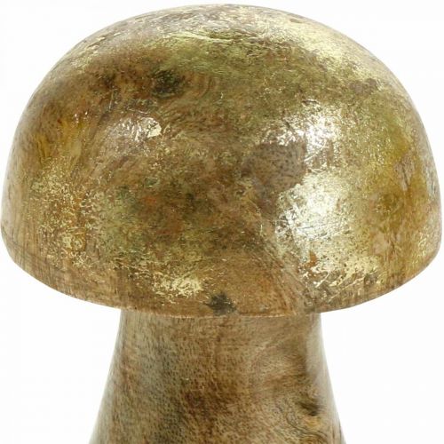 Floristik24 Pilz Mangoholz Gold, Natur Dekopilz Ø6cm H10cm 4St